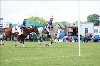 UKPA NC SAT_2666